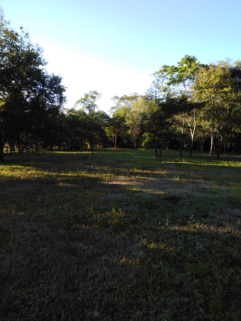IMG-20220210-WA0014