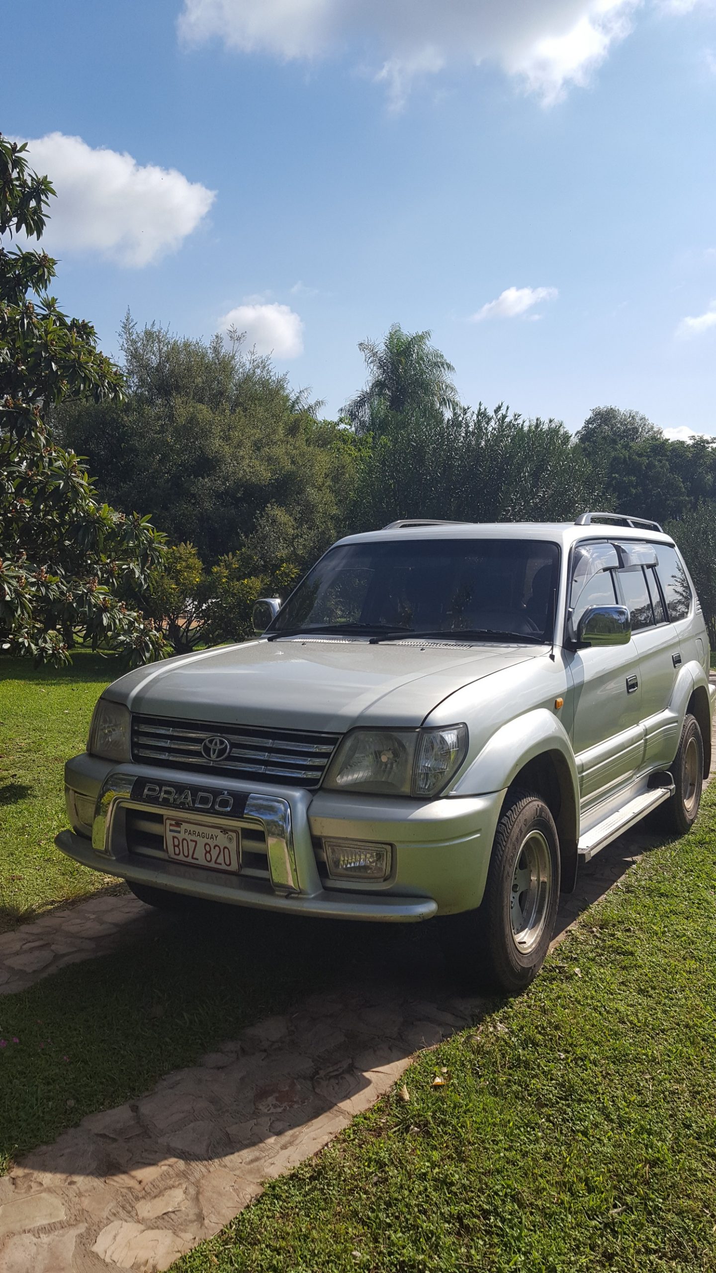 Prado2