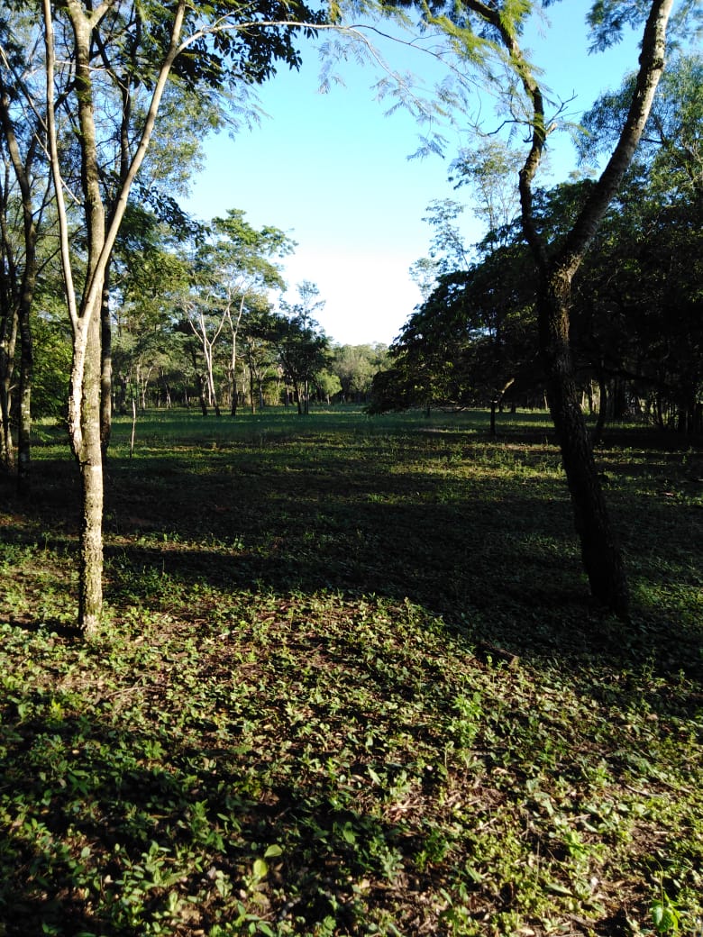 IMG-20220210-WA0013