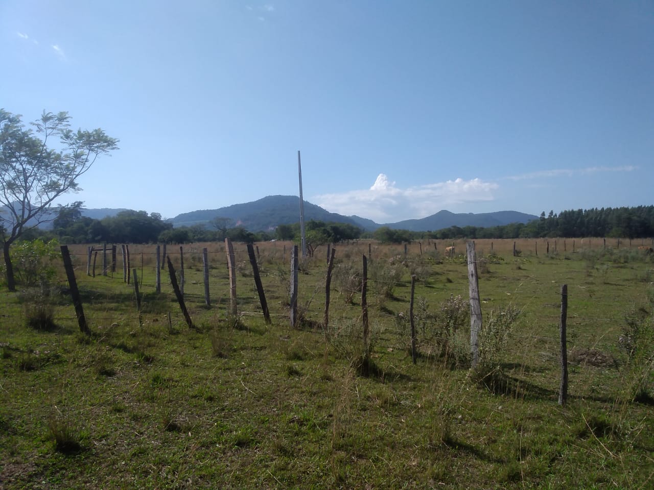 IMG-20220722-WA0003