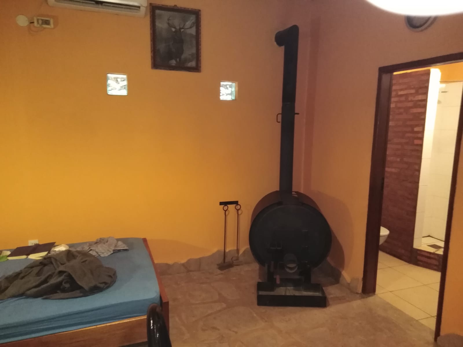 IMG-20220210-WA0019