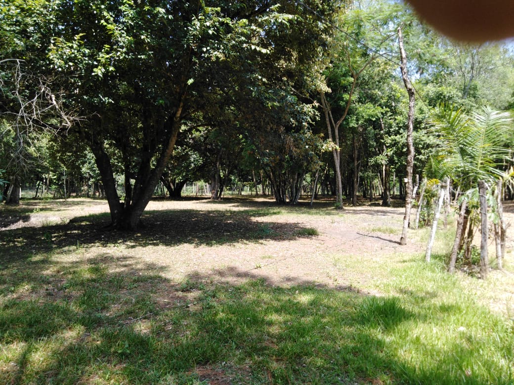 IMG-20220210-WA0024
