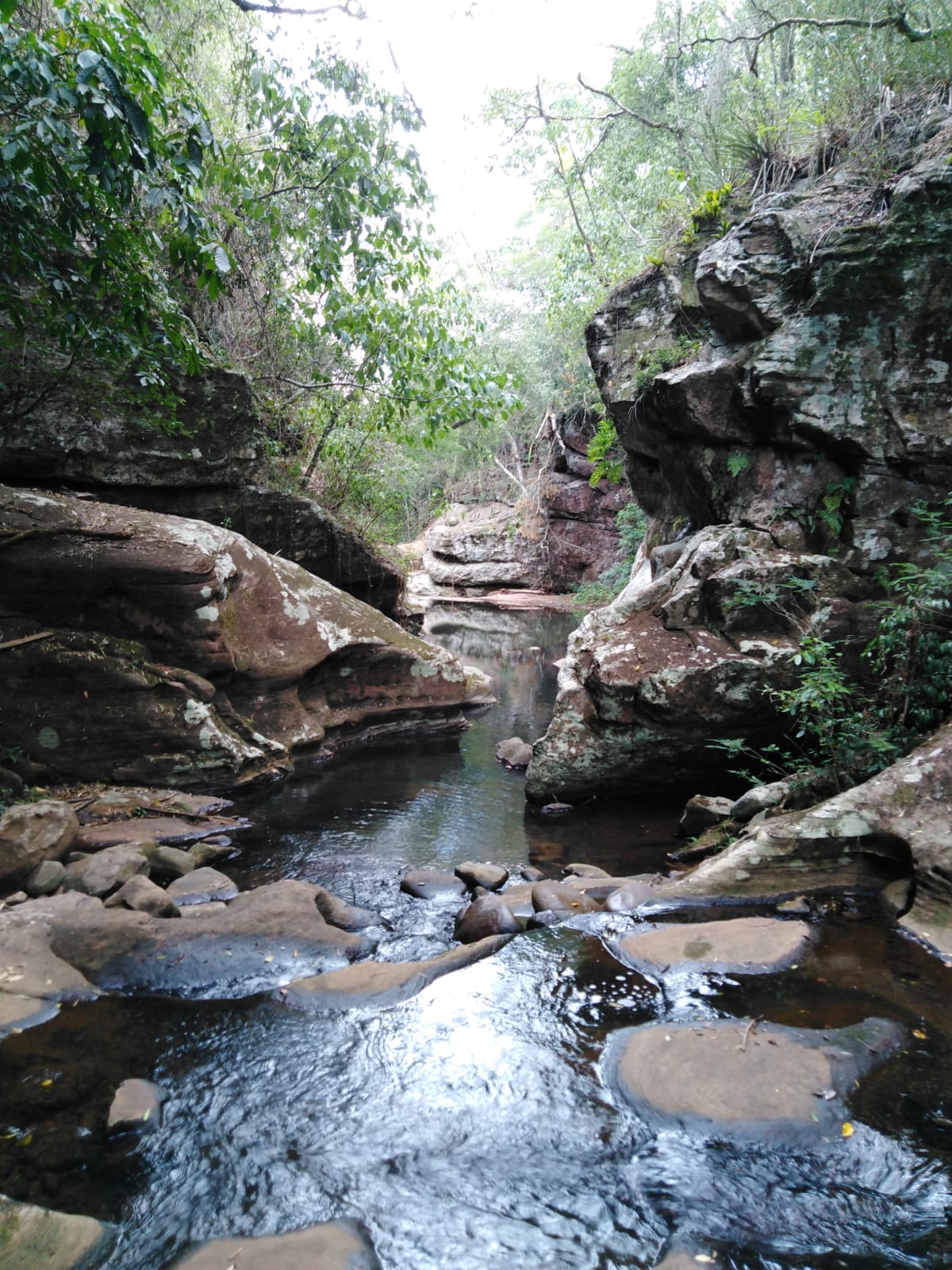 IMG-20220210-WA0054