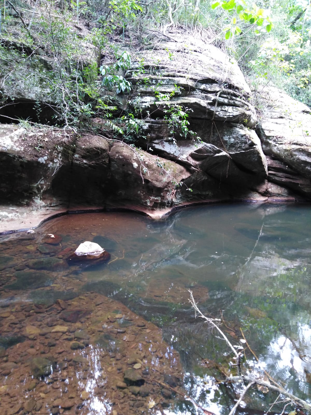 IMG-20220210-WA0046