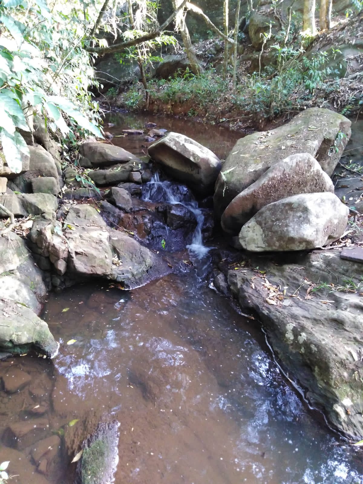 IMG-20220210-WA0038
