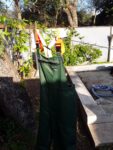 20240801_155636-min