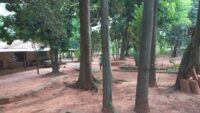 IMG-20250417-WA0049