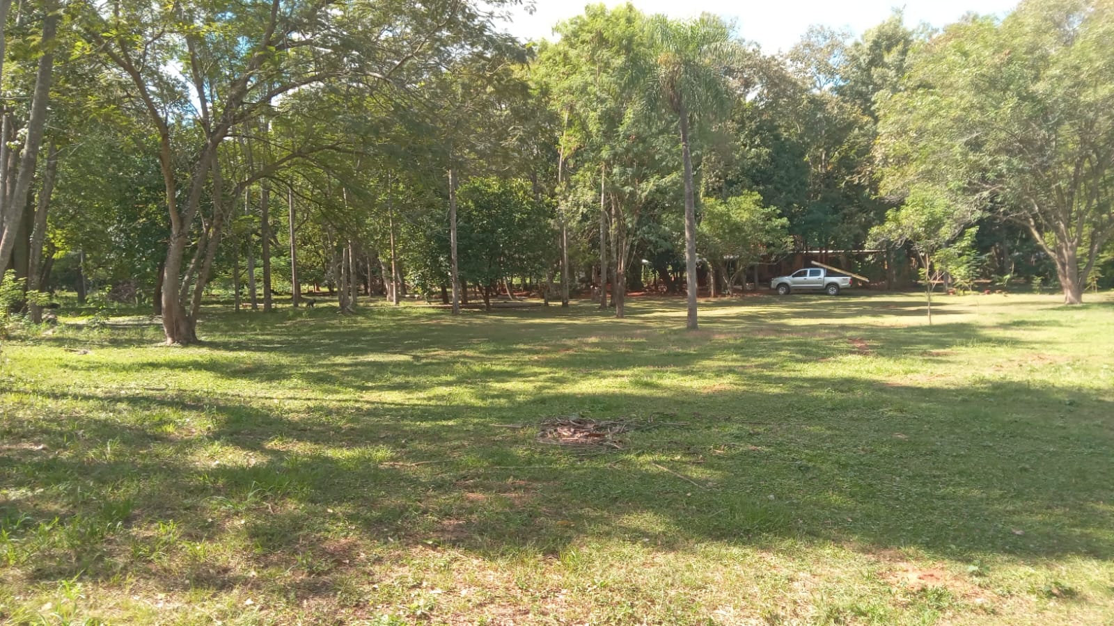 IMG-20250417-WA0051
