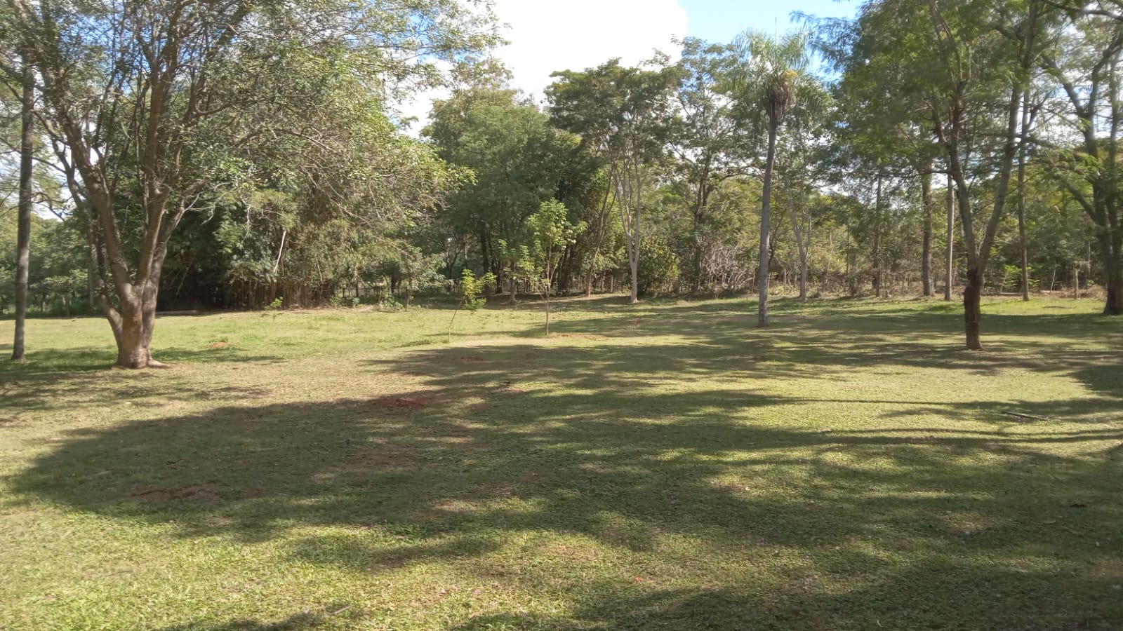 IMG-20250418-WA0005